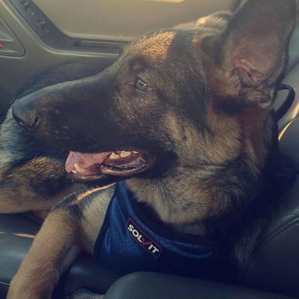 Meet your Posher, Lucia